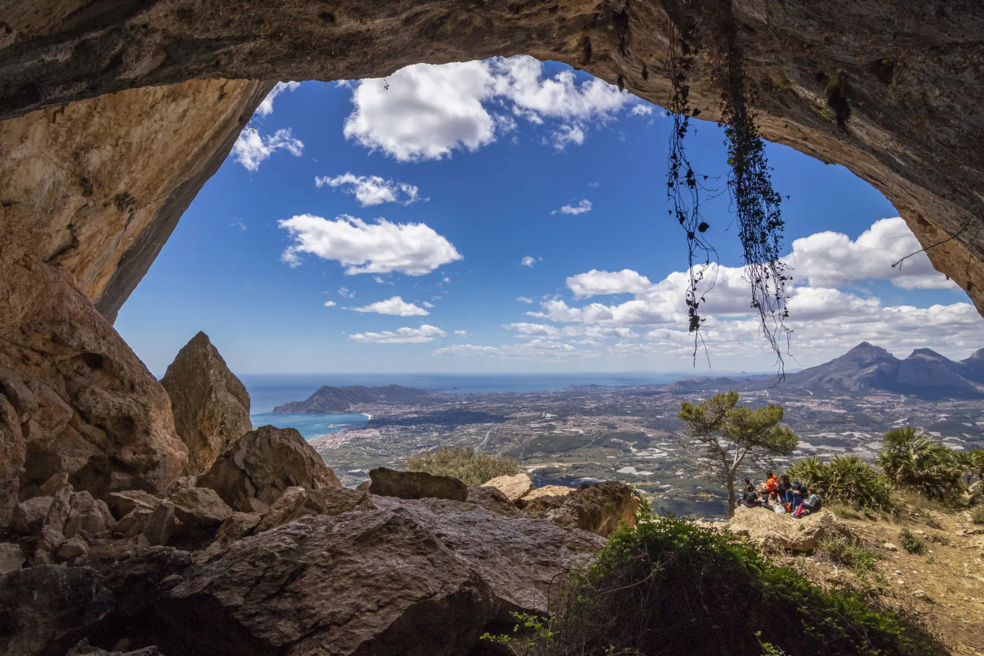experiencia albir